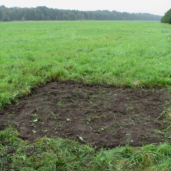 Aizsākums. 2008. gads, Dundurpļavas. Pirmie eksperimenti sēšanā.