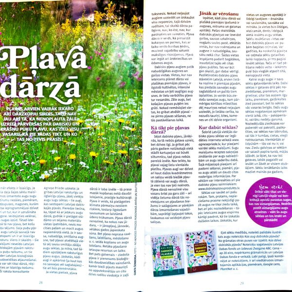 Padomi dārzpļavas ierīkošanai (1). Žurnāls "Mans dārzs", 06/2025
