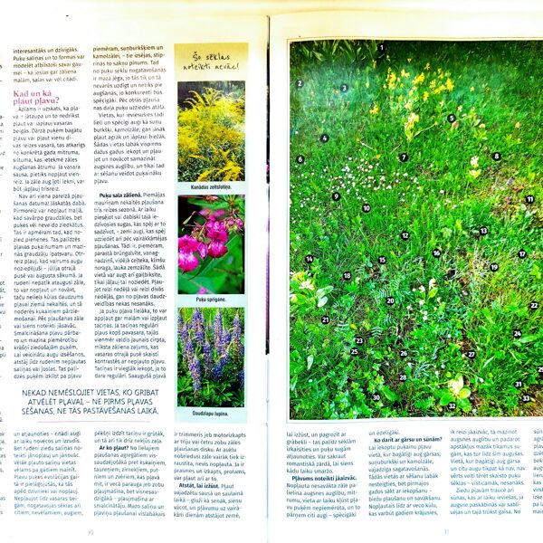 Padomi dārzpļavas ierīkošanai (2). Žurnāls "Mans dārzs", 06/2025