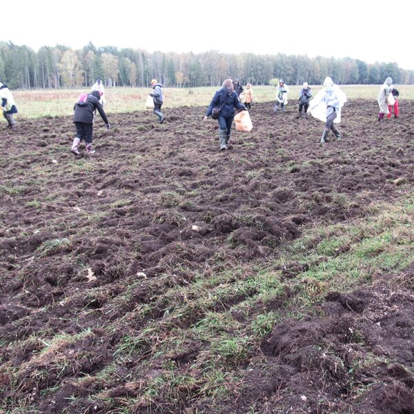 2022. gads, Dundurpļavas. Darbi turpinās daudz plašākā mērogā, palīgā nāk pļavu draugi.