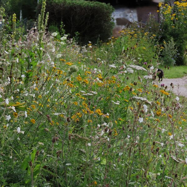 Manis veidota naturālistiska stila dobe Latvijā, izmantojot vietējās sugas.
