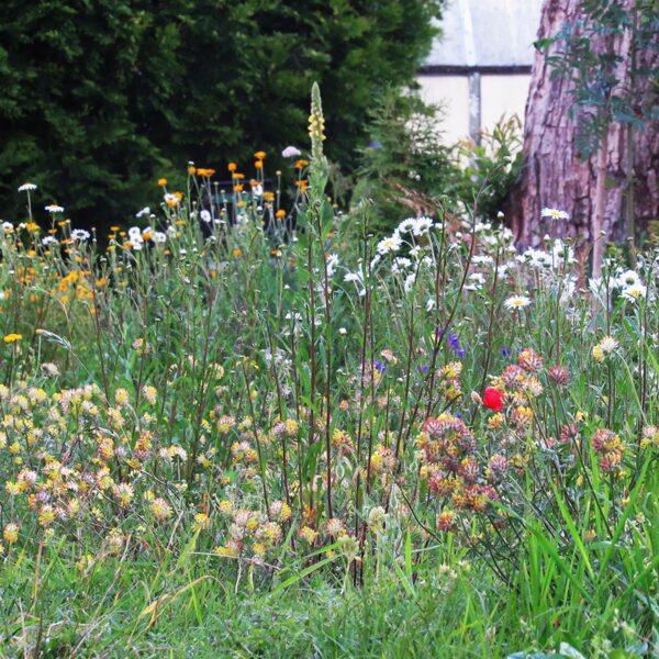 Manis veidota naturālistiska stila dobe Latvijā, izmantojot vietējās sugas.
