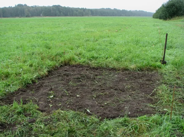 Aizsākums. 2008. gads, Dundurpļavas. Pirmie eksperimenti sēšanā.