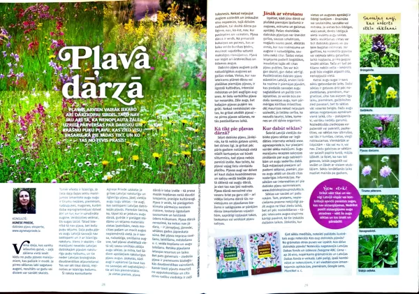 Padomi dārzpļavas ierīkošanai (1). Žurnāls "Mans dārzs", 06/2025