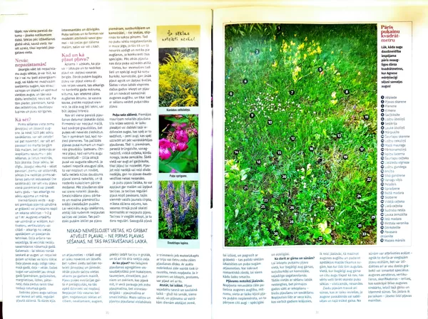 Padomi dārzpļavas ierīkošanai (2). Žurnāls "Mans dārzs", 06/2025