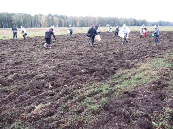 2022. gads, Dundurpļavas. Darbi turpinās daudz plašākā mērogā, palīgā nāk pļavu draugi.