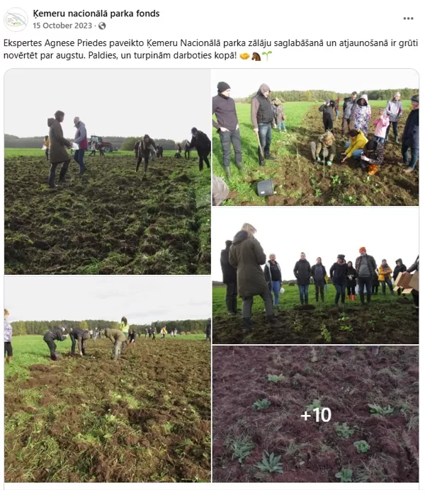 Pļavu sēšanas pieredze Dundurpļavās.