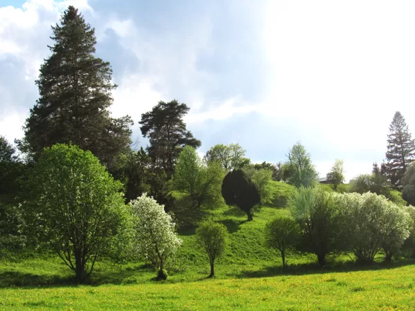 Parkveida pļavas un ganības uz nogāzes ar lielu koku sugu dažādību
