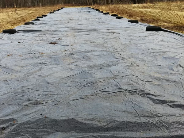 Lai nomāktu esošo augāju, var uz vairākiem mēnešiem apklāt ar biezu melnu plēvi.