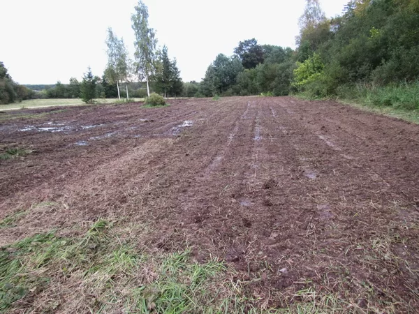 Virsma nofrēzēta pēc krūmu izciršanas, mazinot atvašu ataugšanu – laba vieta sēšanai.